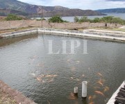 Technopark Samosir, Sumatera Utara